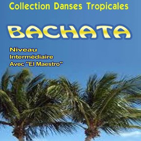 dvd cours bachata